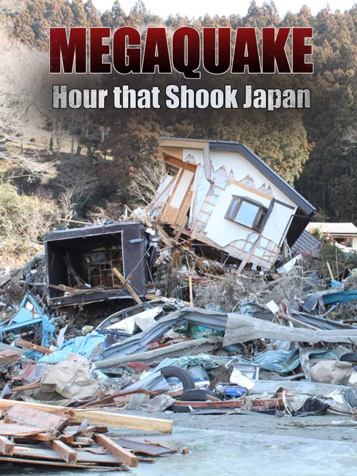 Cutremurul din Japonia