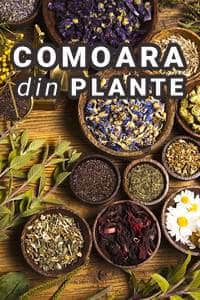 Comoara din plante
