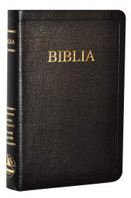 Cine a scris Biblia?