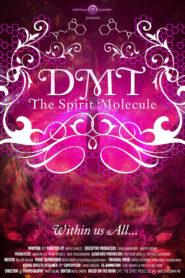 DMT – Molecula spiritului
