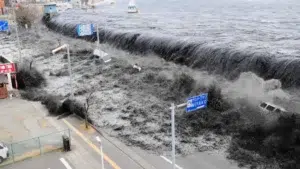 Magnitudine 9,3: în inima tsunami-ului
